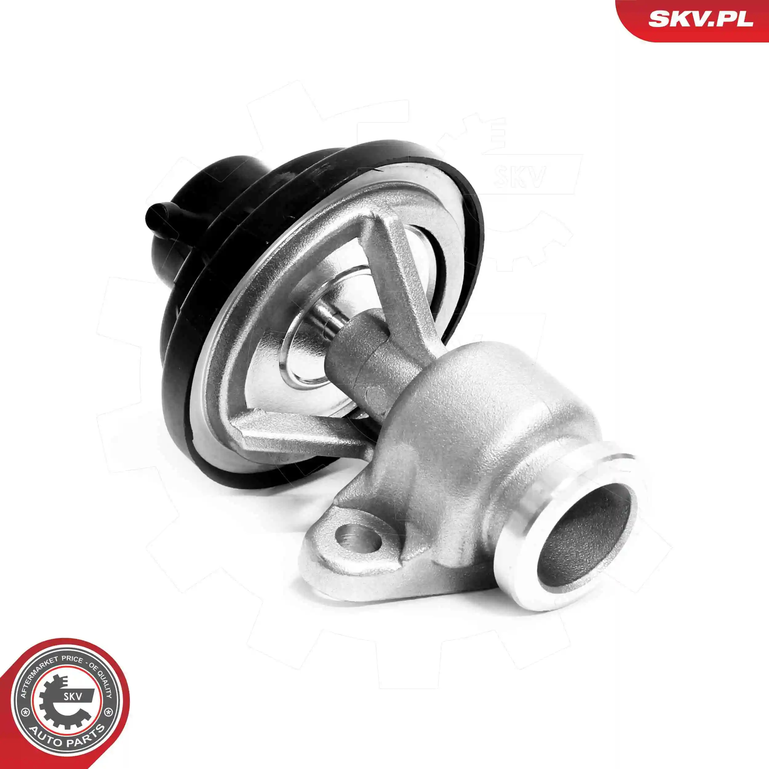 EGR Valve
